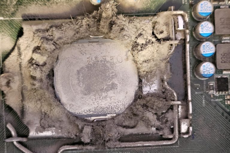 Quiso regalarle un PC Gaming a su hermana y se topó con tanta suciedad en él que ya había surgido vida